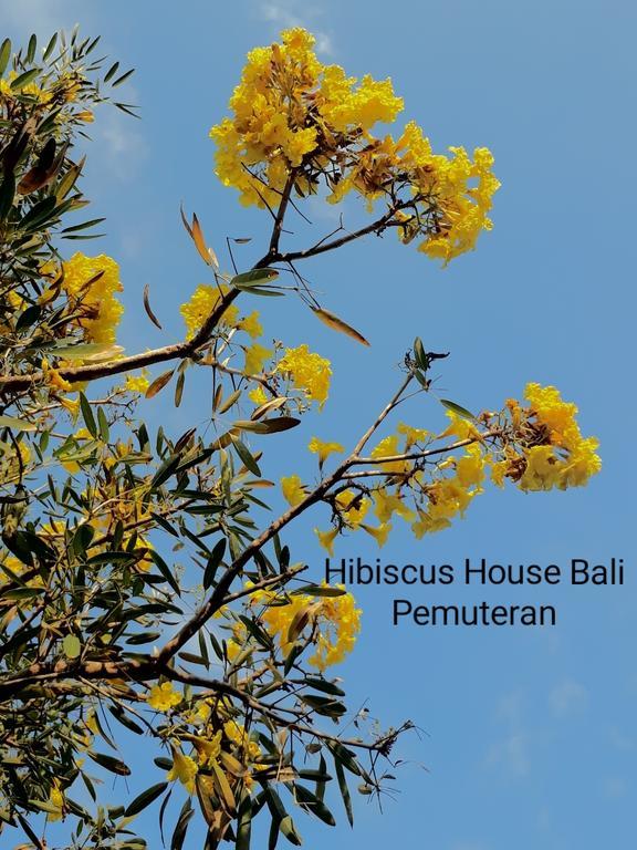 Hibiscus House Pemuteran Bali Hotel Kültér fotó