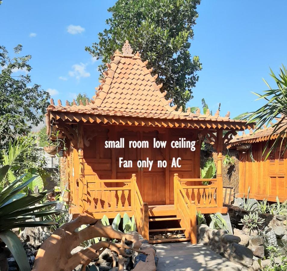 Hibiscus House Pemuteran Bali Hotel Kültér fotó